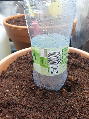 Growreport Bild 2