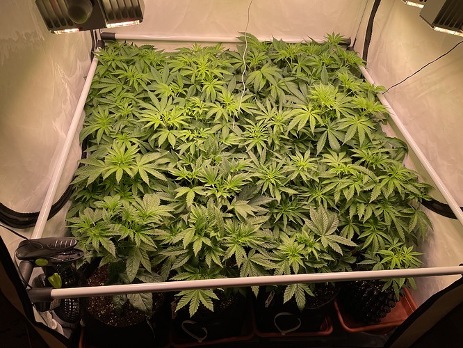 Growreport Bild 16