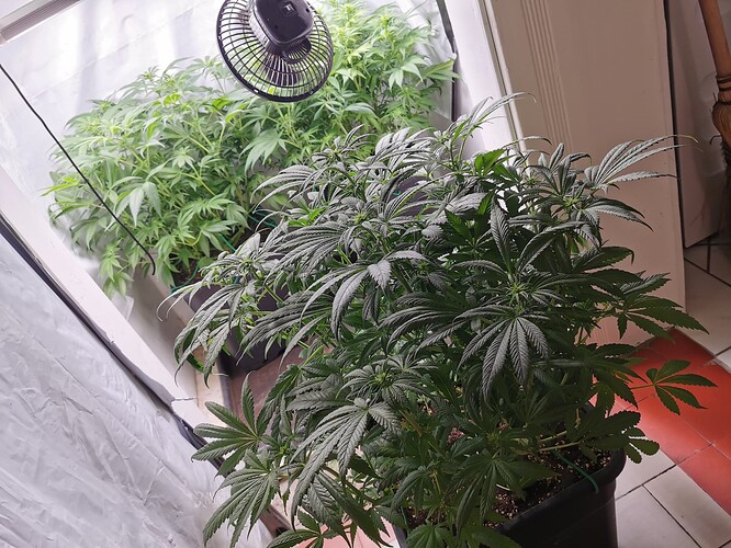 Growreport Bild 4