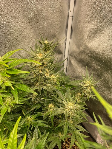 Growreport Bild 12