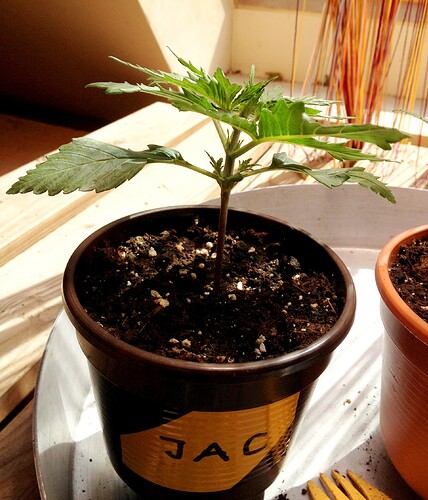 070_SiebterSiebter_22