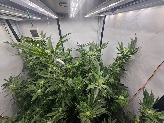 Growreport Bild 8
