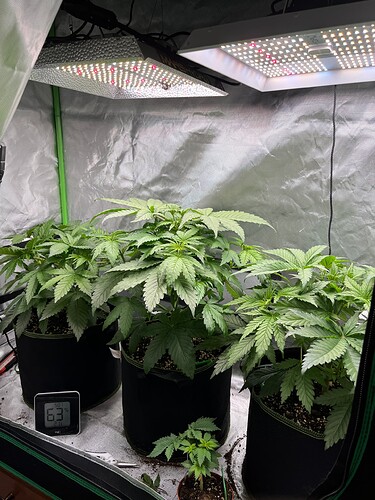 Growreport Bild 9