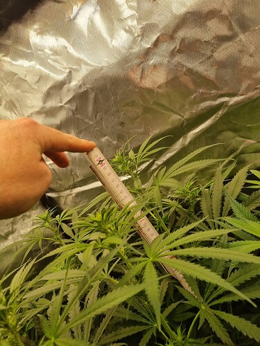 Growreport Bild 11