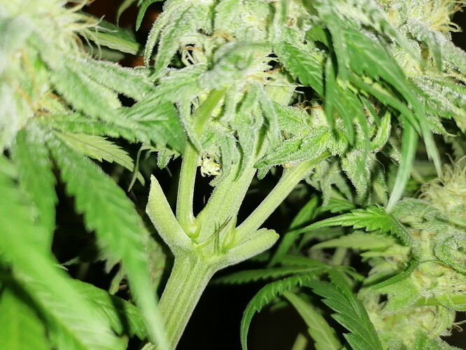 Growreport Bild 20