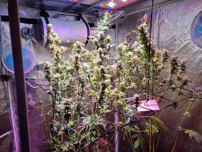 Growreport Bild 14
