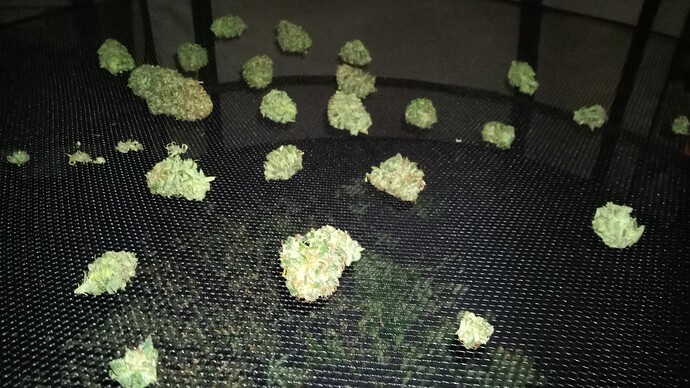 Growreport Bild 3