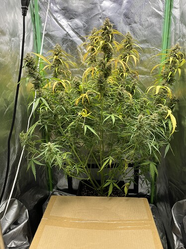 Growreport Bild 9