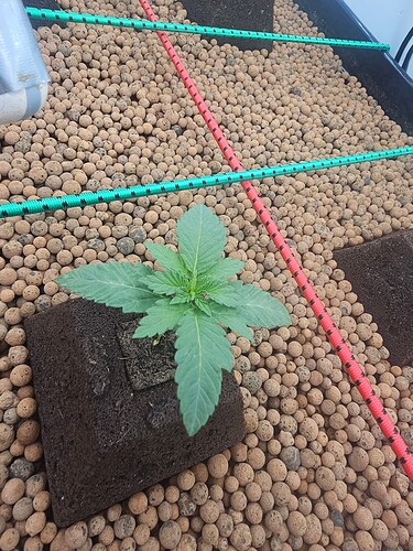 Growreport Bild 23