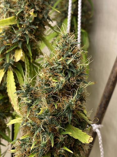 Growreport Bild 7
