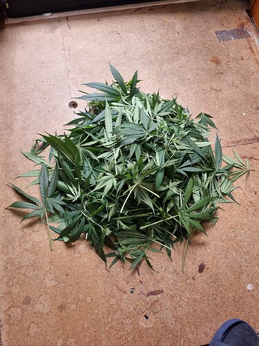 Growreport Bild 30