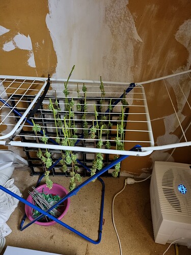 Growreport Bild 33