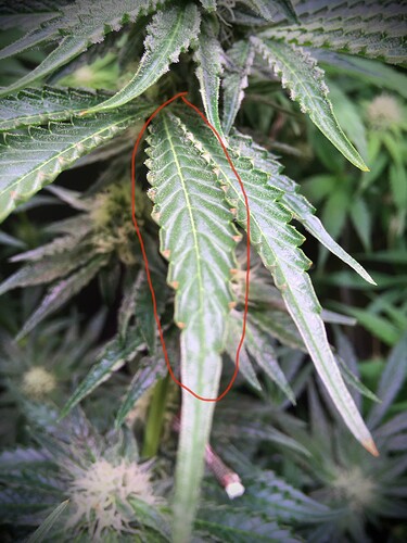 Growreport Bild 8