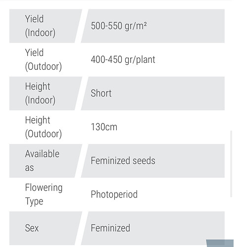 Growreport Bild 16