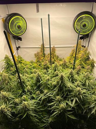 Growreport Bild 2