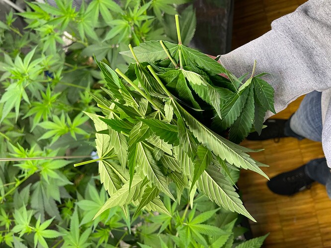 Growreport Bild 18