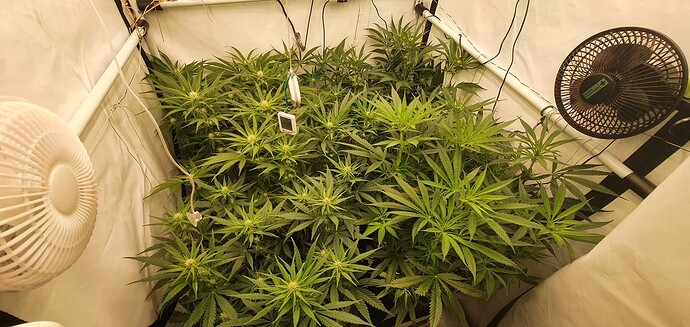 Growreport Bild 11