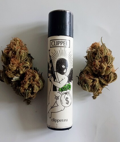 Growreport Bild 78