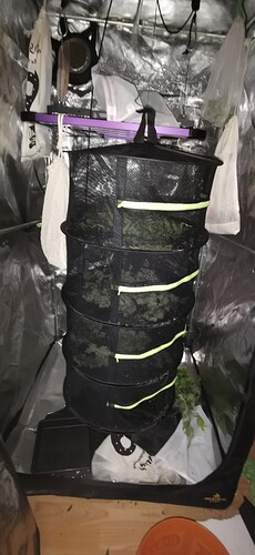 Growreport Bild 15