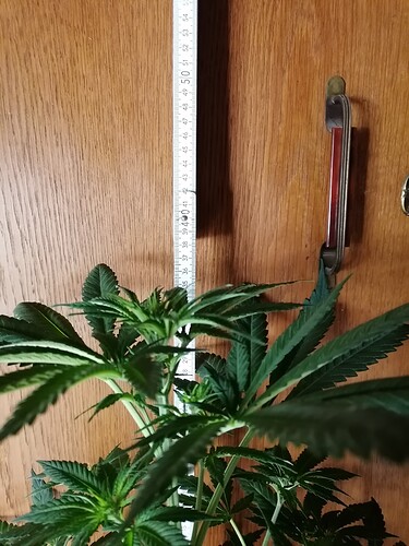 Growreport Bild 18