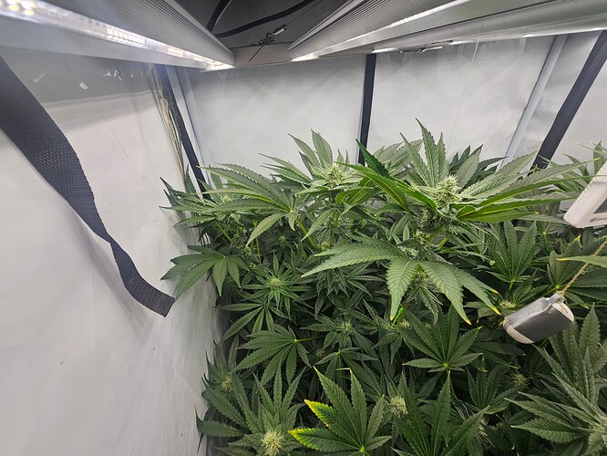 Growreport Bild 6