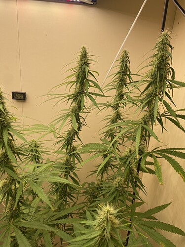 Growreport Bild 21