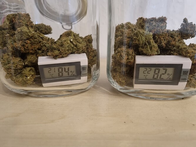 Growreport Bild 13