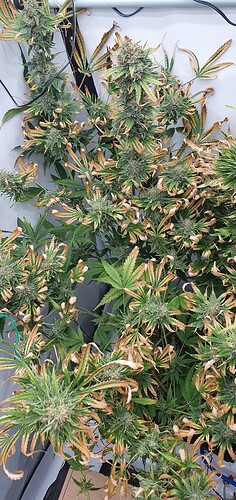 Growreport Bild 10