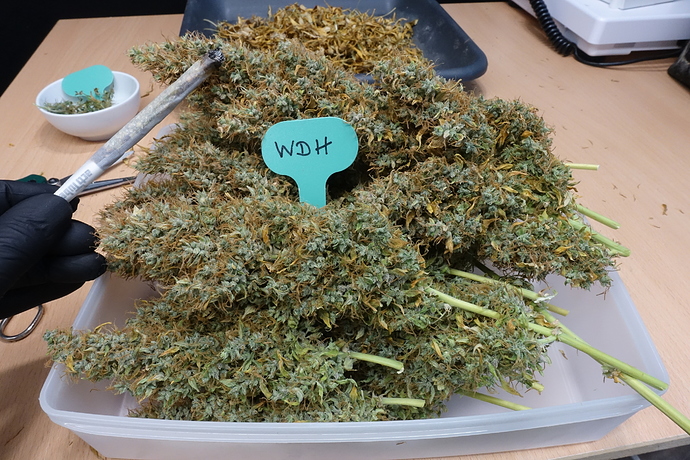 Growreport Bild 4
