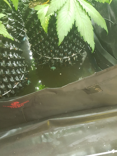 Growreport Bild 10