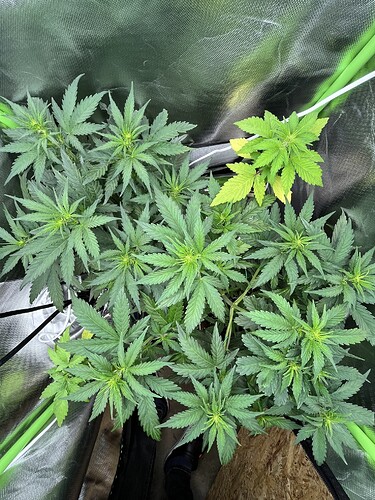 Growreport Bild 10