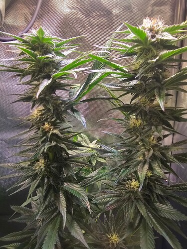 Growreport Bild 8