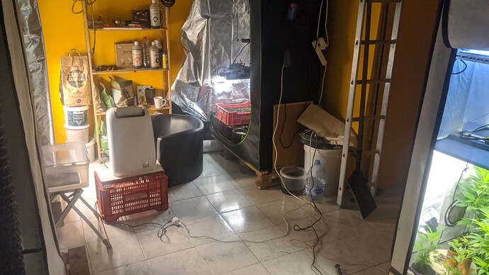 IMG_20240117_073032_890