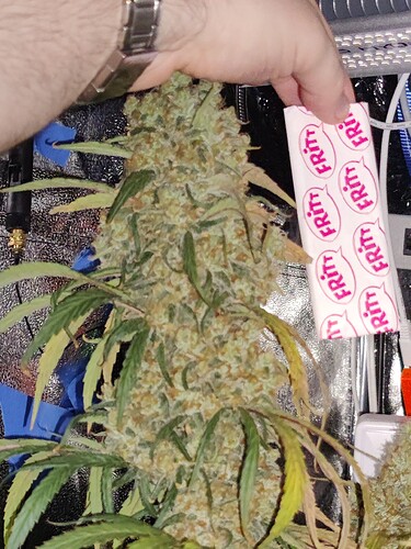 Growreport Bild 24