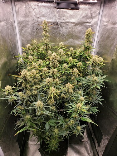 Growreport Bild 8