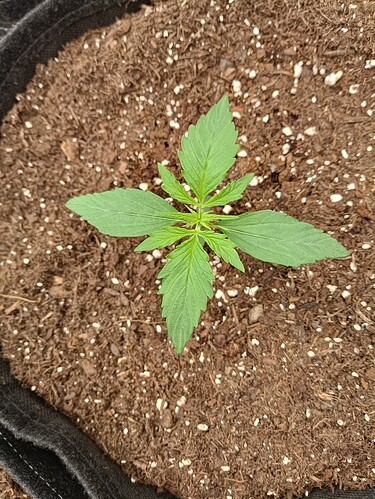 Growreport Bild 5