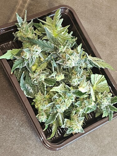 Growreport Bild 25