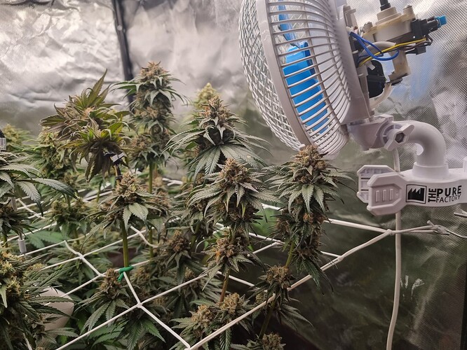Growreport Bild 30