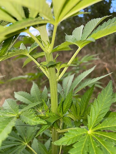 Growreport Bild 24