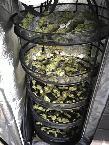 Growreport Bild 7