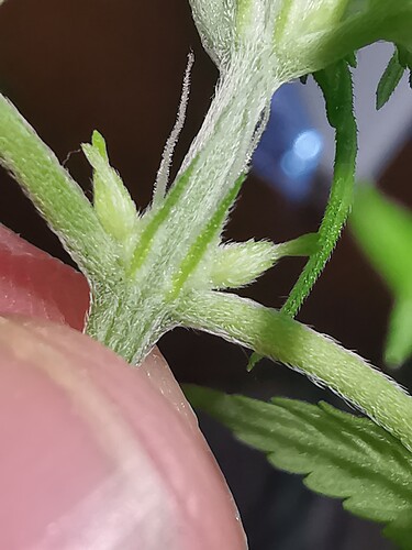 Growreport Bild 2