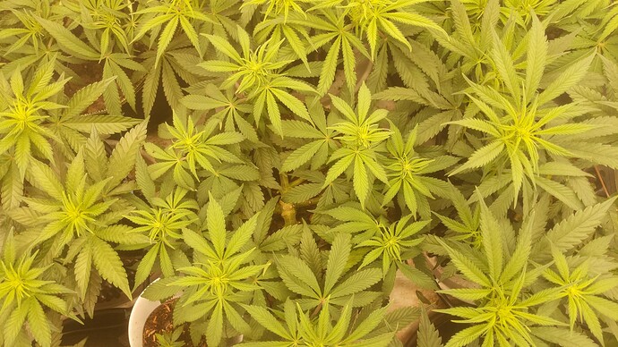 1-IMG_20231215_231035_150