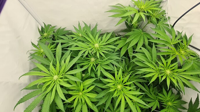 Growreport Bild 2
