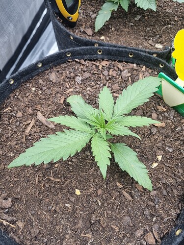 Growreport Bild 14