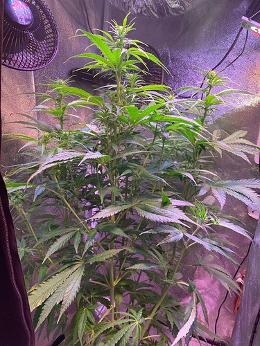 Growreport Bild 16