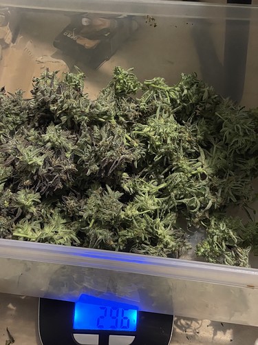 Growreport Bild 10