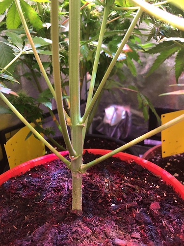 Growreport Bild 26