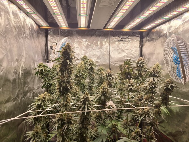 Growreport Bild 6