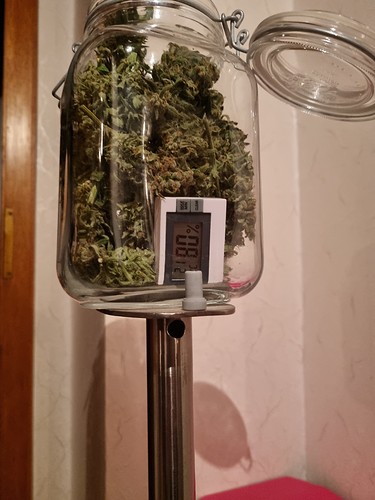 Growreport Bild 8