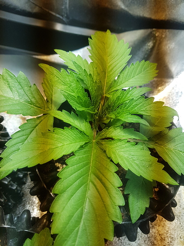 Growreport Bild 16